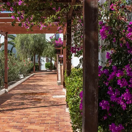 The Colors House, 636 Sea View & 513 Garden View Lejlighed *
